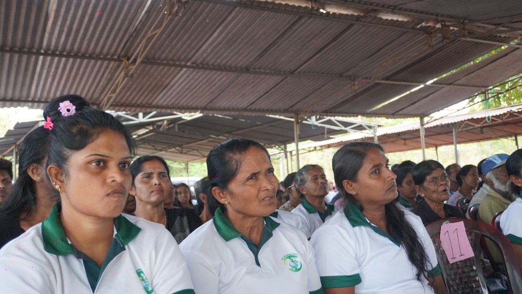 කොම්පෝස්ට් ජාලය